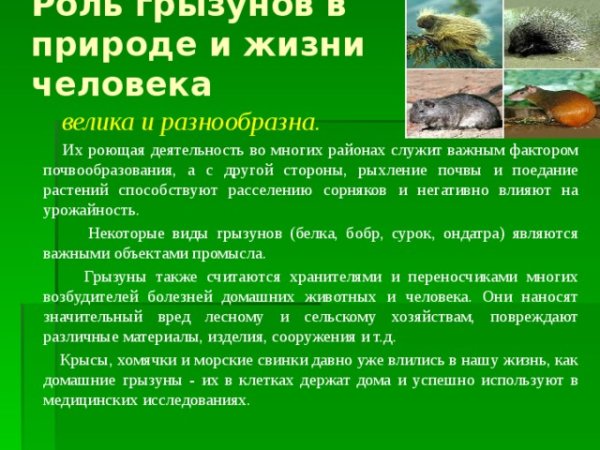 Значение млекопитающих
