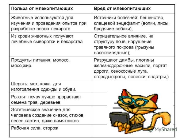 Вред и польза млекопитающих в природе