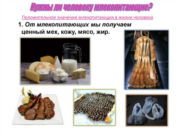 Значение обезьян в природе