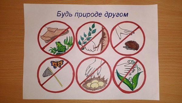 Знаки правил поведения в природе