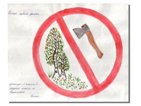 Не ломайте ветки деревьев и кустарников
