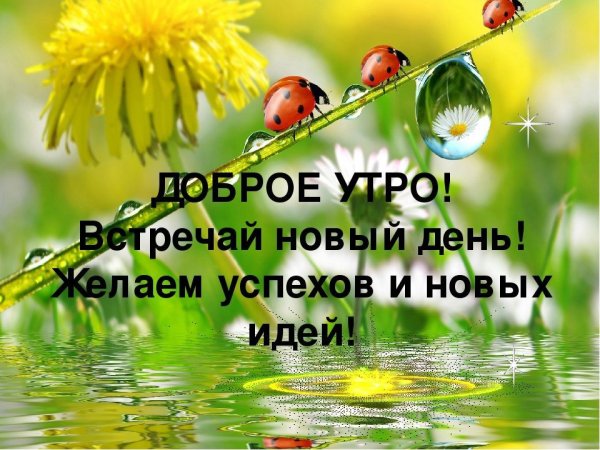 Улыбаемся новому Дню