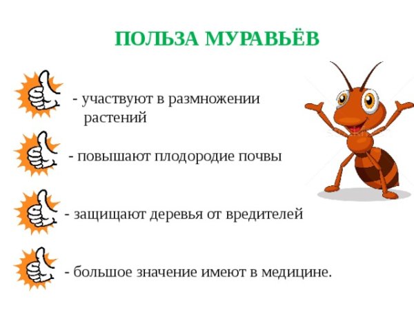 Чем полезны муравьи