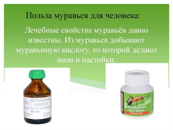 Польза муравьев