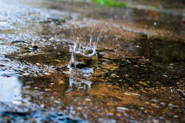 Дождевые и талые воды