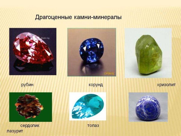 Название коллекции