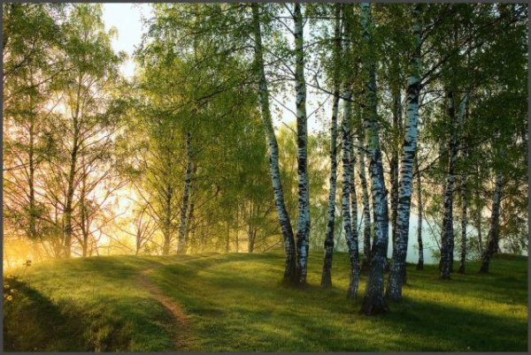 Пейзаж Иван Бунин