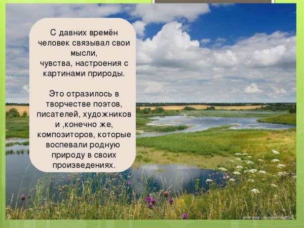 Цветы Швейцарии Женевское озеро