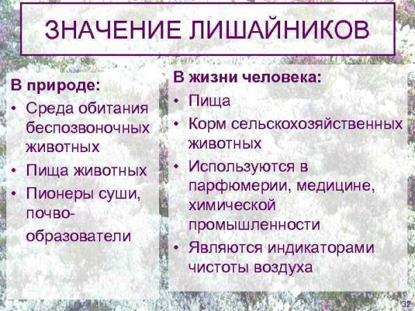 Роль лишайников в природе и жизни человека