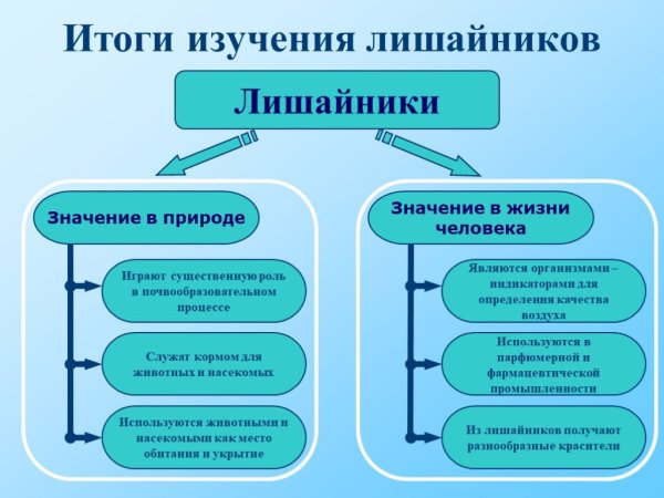 Многообразие лишайников 5 класс
