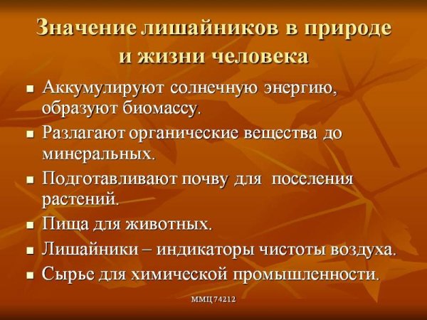 Лишайники значение