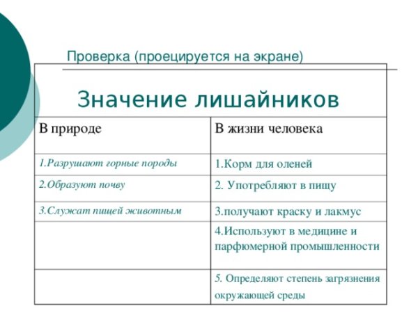 Лишайники в медицине