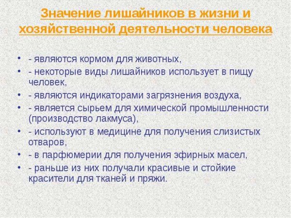 Экологическая роль лишайников