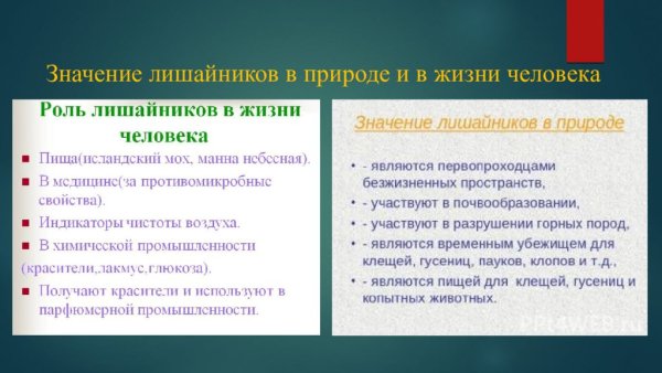 Значение лишайников в природе