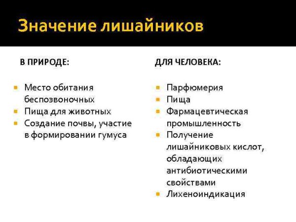 Характеристика лишайников