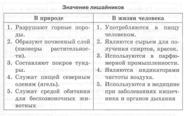 Значение лишайников