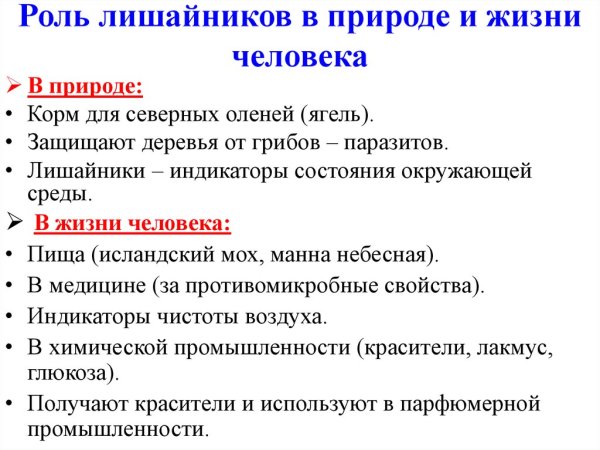 Лишайники накипные листоватые кустистые