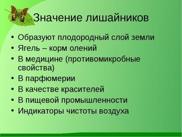 Организмы царства грибов и лишайников таблица