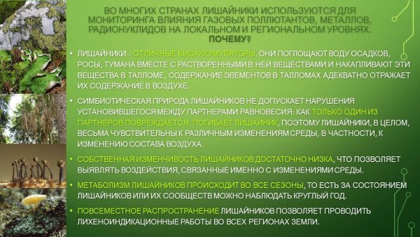 Лишайники экология