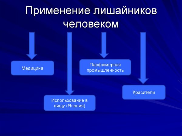 Место обитания лишац ников