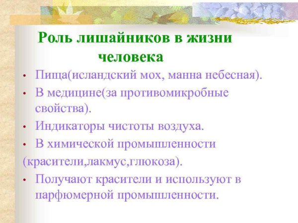 Лишайники в жизни человека