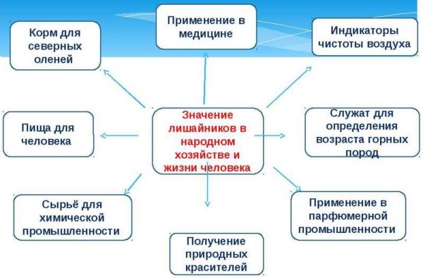 Значение лишайников в природе