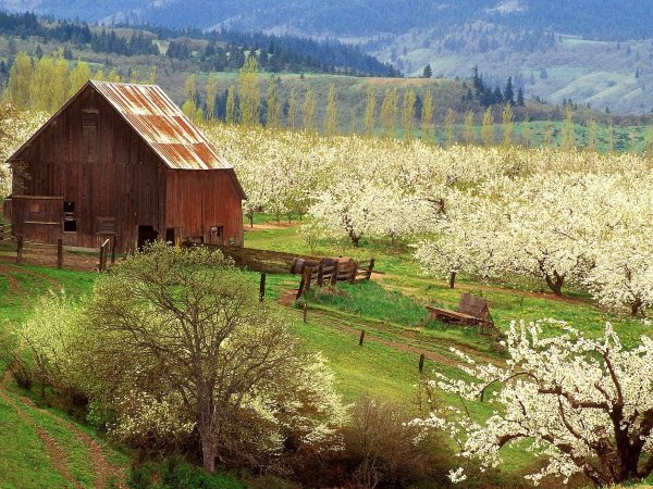Пейзаж Наталья Шайкина