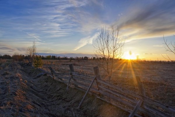 Весна природа деревня