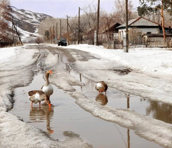 Весенний деревенский домик
