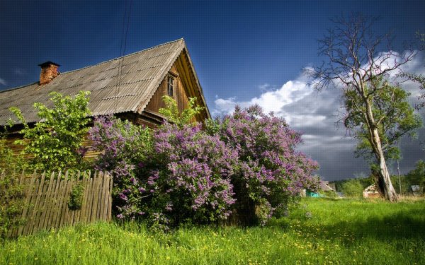 Природа домик в деревне