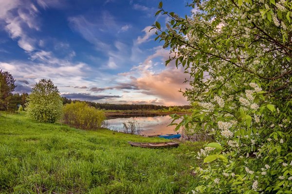 Ранняя Весна в деревне