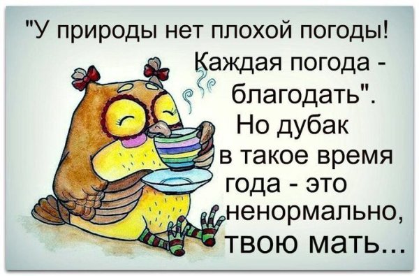 Высказывания про погоду прикольные
