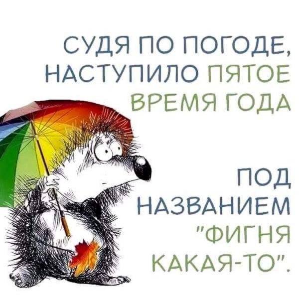 Цитаты о настроение в любую погоду