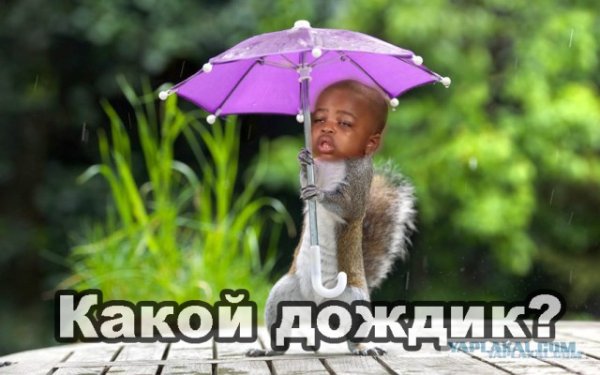 У погоды нет плохой погоды