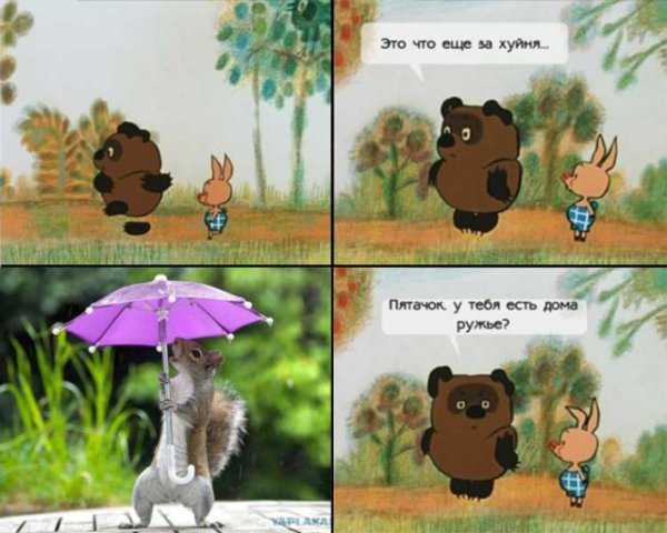 Шутки про дождь