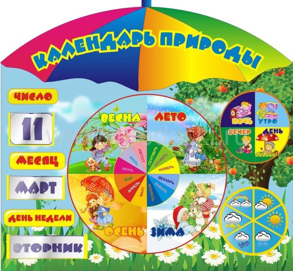 Уголок природы для малышей