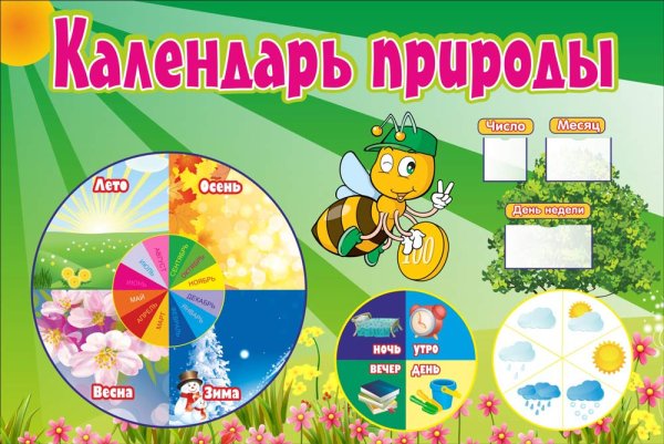 Уголок природы садик стенд