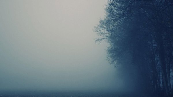 Обои на рабочий стол туман