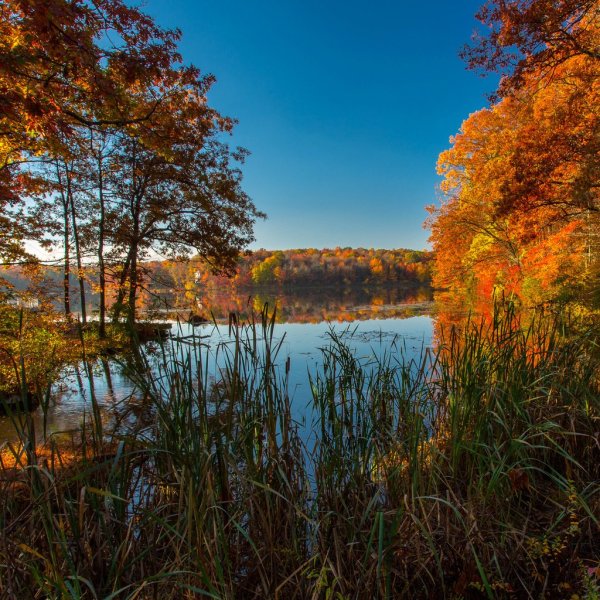 Природа ранняя осень