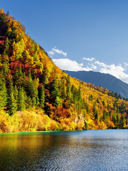 Яркий осенний пейзаж