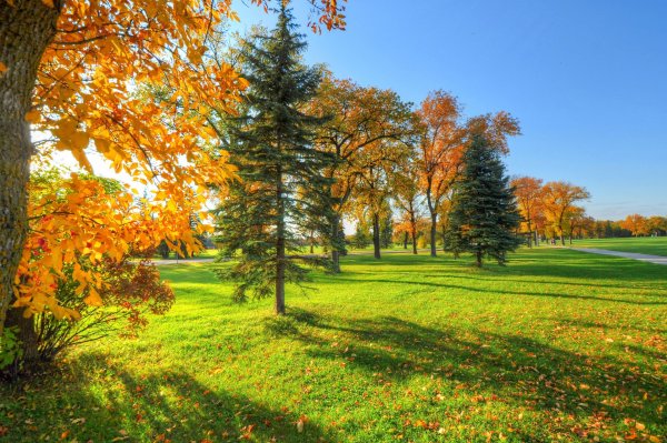 Природа ранняя осень