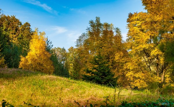 Сентябрь природа
