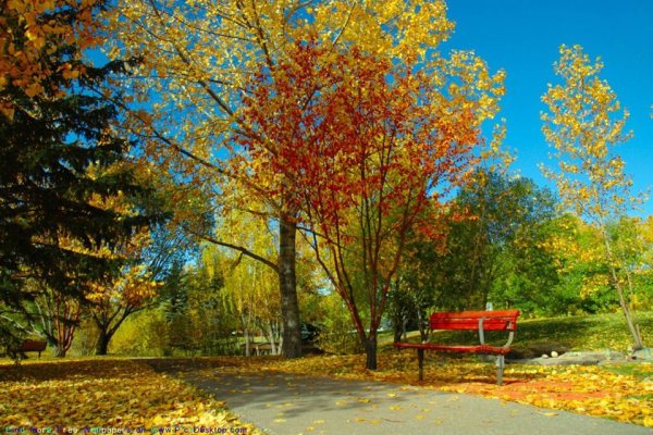 Ранняя осень
