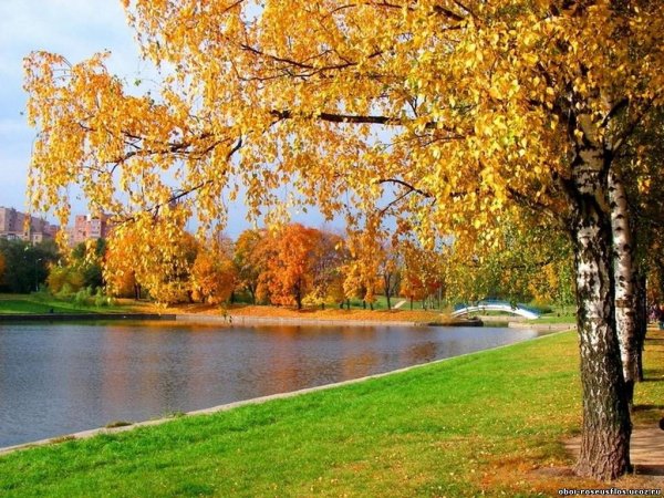 Ранняя осень