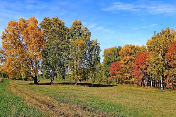 Осень для детей