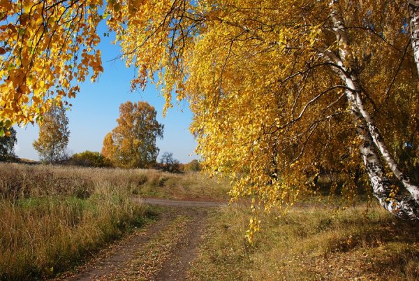 Ранняя осень