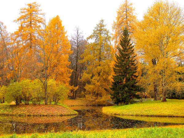 Осень в саду