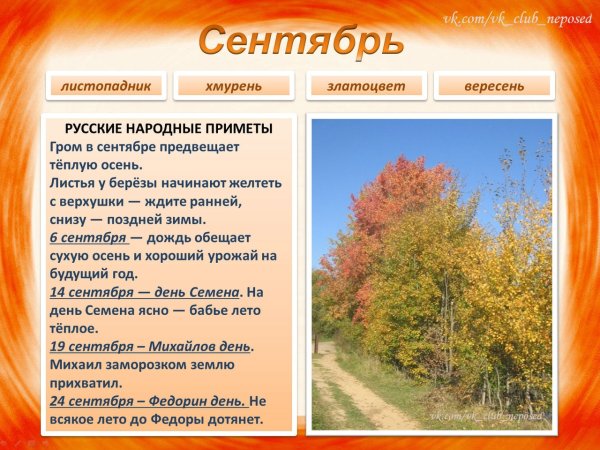 Осенний календарь природы