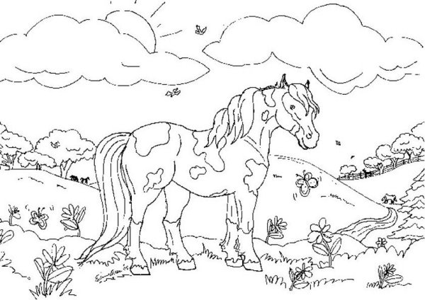 Раскраска лошади на природе