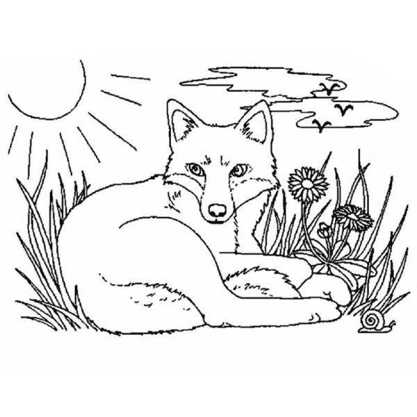 Пришвин Лисичкин хлеб раскраска